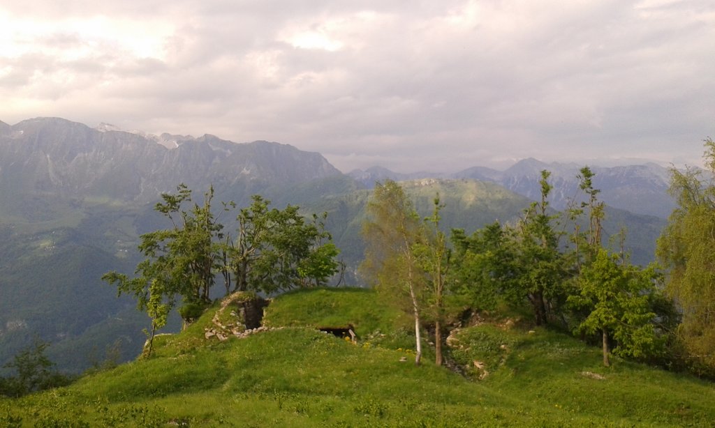 Foto 15